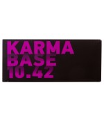 Бинокль Levenhuk Karma BASE 10x42