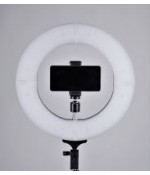 Кольцевой светодиодный осветитель FST LED 12-RL II