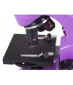 Микроскоп Levenhuk Rainbow 50L PLUS AmethystАметист