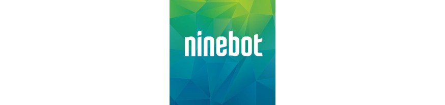 Ninebot
